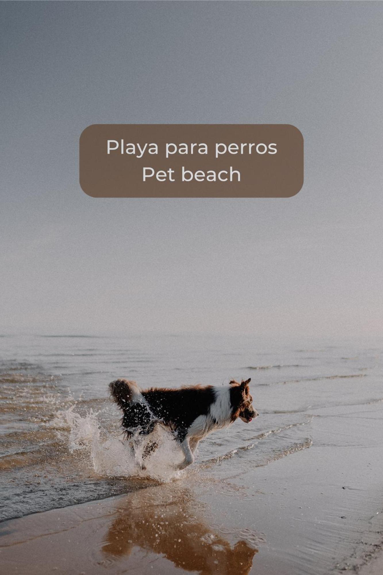 科拉雷侯Maracuya Con Piscina, Terraza, Smart Tv, Cocina Completa Y Wifi公寓 外观 照片
